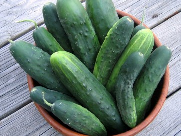 Cucumber 'Straight 8'