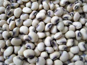 Cowpea 'Pinkeye Purple Hull'