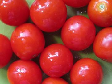 Tomato 'Large Red Cherry'