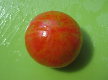 Tomato 'Turkish Striped Monastery'