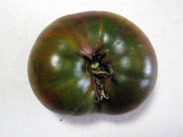 Tomato 'Black Mystery'