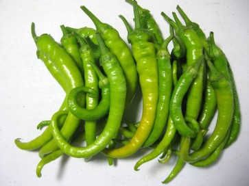 Sweet Pepper 'Jimmy Nardello' Seeds (Certified Organic)