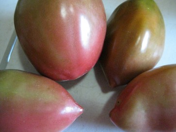 Tomato 'Purple Russian'