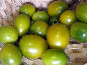 Tomato 'Green Grape'