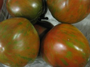 Tomato 'Black and Red Boar' 