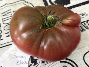 Tomato 'German Black' Seeds (Certified Organic)