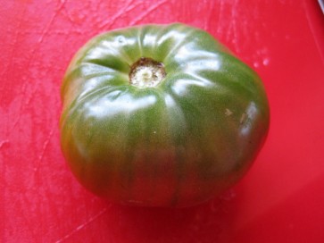 Tomato 'Ananas Noire' 