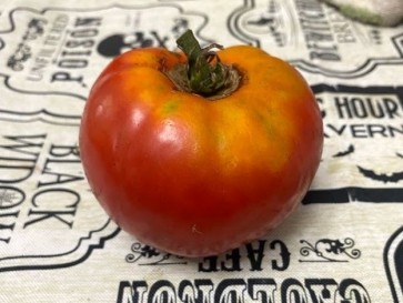 Tomato 'Nepal' Seeds (Certified Organic)
