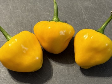 Hot Pepper 'Hinkelhatz Chicken Heart Yellow' Seeds (Certified Organic)