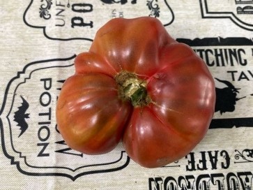 Tomato 'Purple Passion' Seeds (Certified Organic)