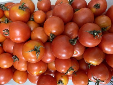 Tomato 'Red Cherry Heirloom' Seeds (Certified Organic)