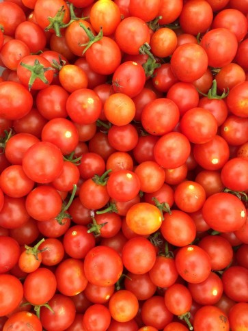 Tomato 'Hundreds and Thousands'