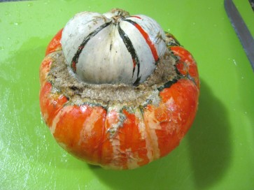 Winter Squash 'Turk's Turban'