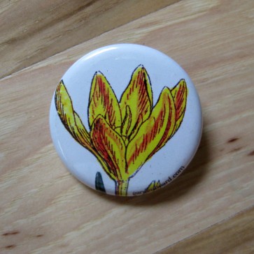 Yellow Crocus Pinback Button