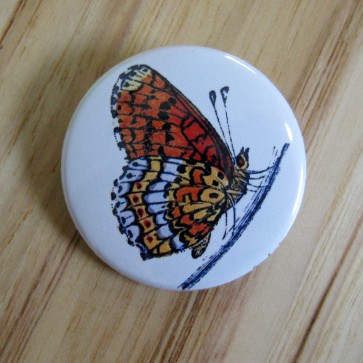 Orange and Blue Butterfly Pinback Button