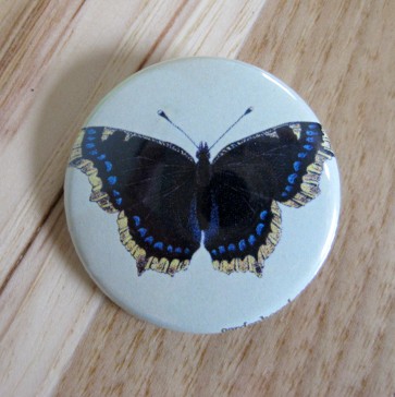 Black and Blue Butterfly, Light Green Background Pinback Button