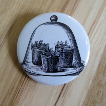 Cloche / Terrarium Pinback Button