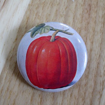 Pumpkin Pinback Button