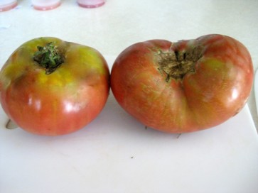 Tomato 'Sara Black' Seeds (Certified Organic)
