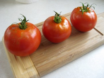 Tomato 'Grosse Lisse' 