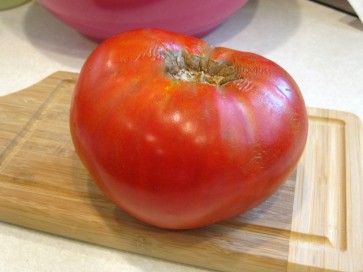 Tomato 'Delicious'