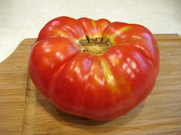 Tomato 'Purple Hillbilly'