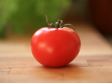 Tomato 'Marglobe'