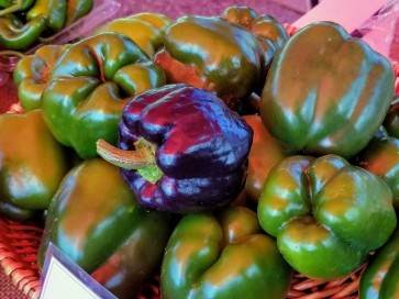 Sweet Bell Pepper