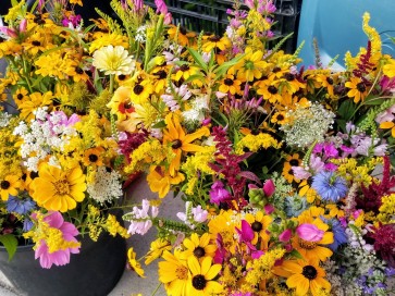 Mixed Wildflower Bouquet