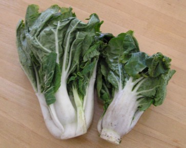 Chinese Cabbage/Pak Choi