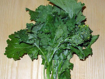 Broccoli Raab