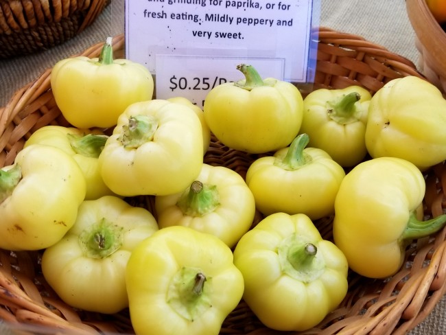 20 Fresh Seeds Alma Paprika Peppers Make Your Own Paprika * * Hot Apple