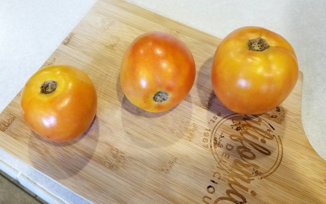 Tomato 'Long Keeper' Seeds (Certified Organic) Garden