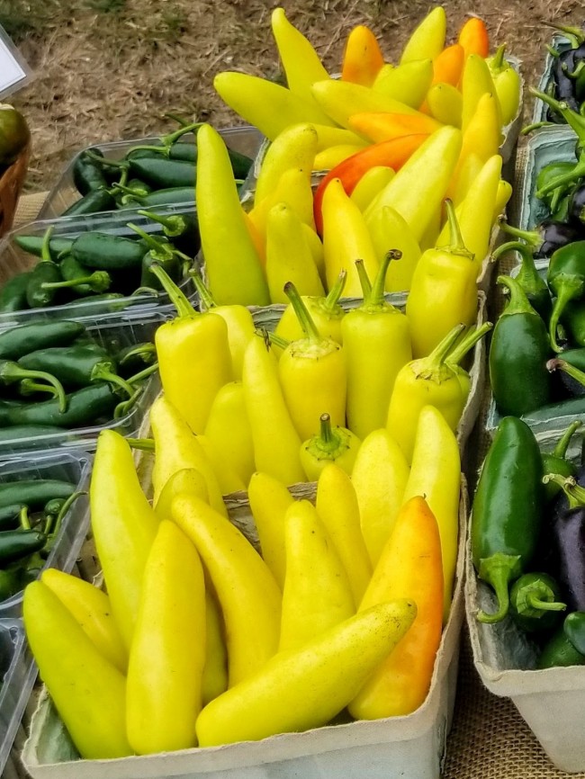 Hot Banana Pepper Hungarian Yellow Wax Seeds Certified Organic Garden Hoard Certified