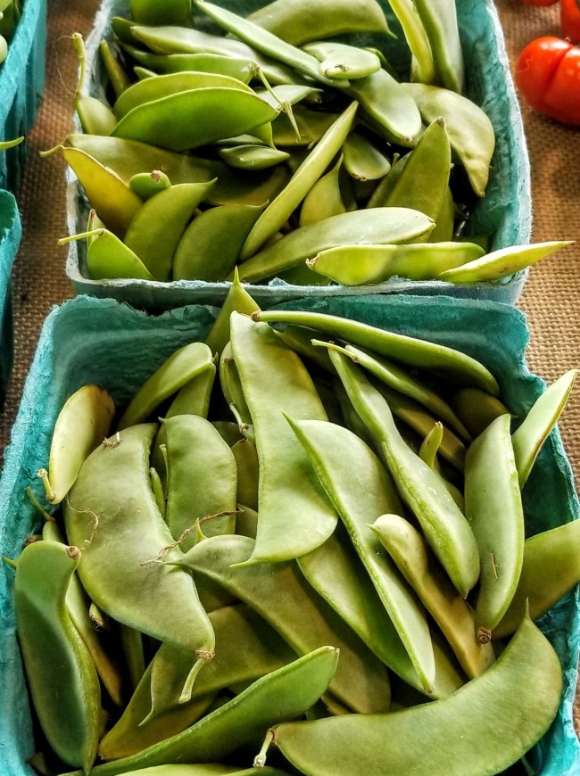 Bush Lima Bean 'Henderson's Baby' Seeds | Garden Hoard ...