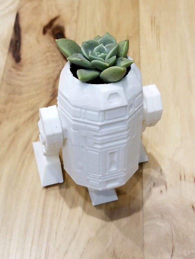 star wars succulent planter