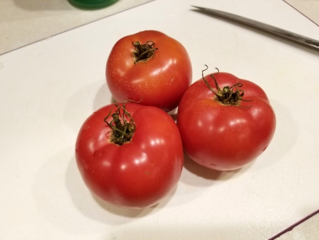 Seeds of Change S10986 Certified Organic Arkansas Traveler Heirloom Tomato 