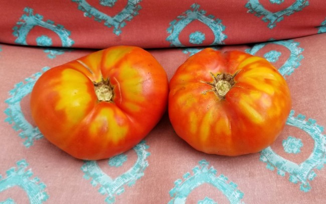 50 !!! Seeds: Andrew rahart Jumbo red Tomato Seeds a Heirloom Variety from Italy