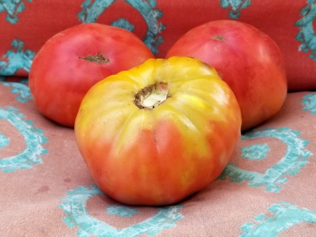 Soldacki Tomato Seeds