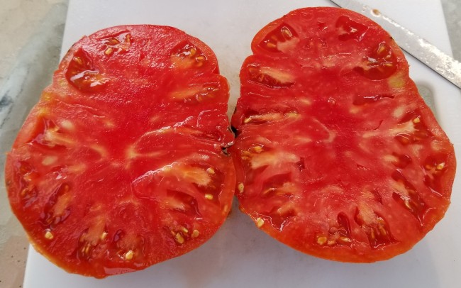 Tomato Pink Jazz Seeds Certified Organic Garden Hoard Certified Organic Heirloom Seeds Grown In Michigan By Renegade Acres
