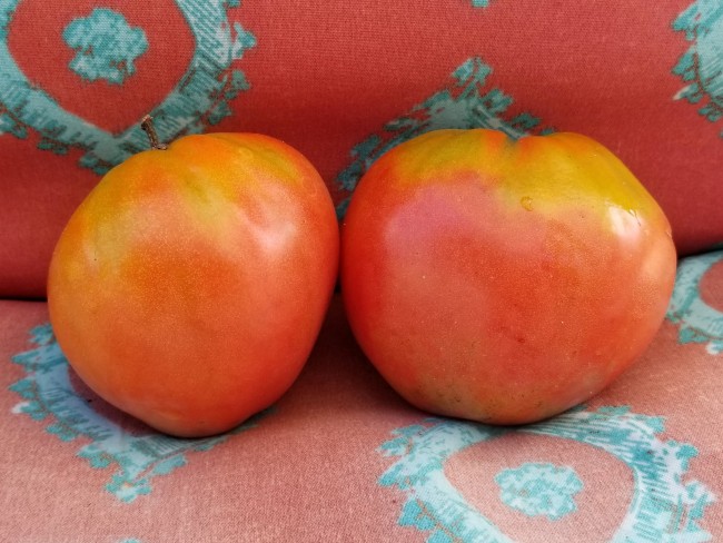 2021 Seeds Organic 35 Tomato Seeds Rozovyi Myod Siberian Pink Honey 