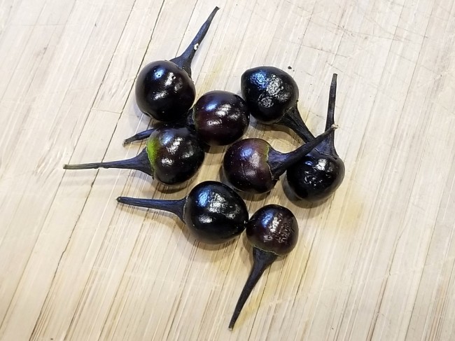Organic Black Pearl Pepper 30 semi