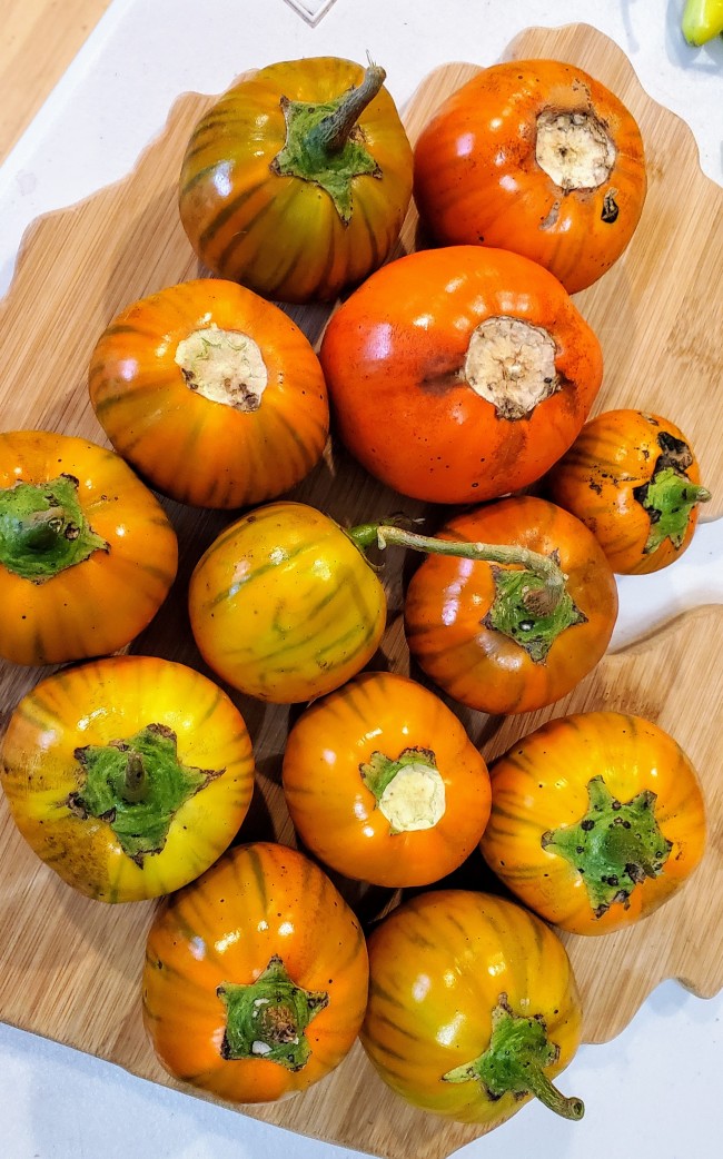 Scarlet Eggplant, Mock Tomato Mini Pumpkins, Japanese Golden Eggs