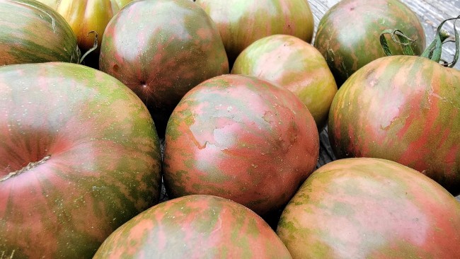 Amazon.com: The Big Tomato (Xerolage): 9781936687442: Morin