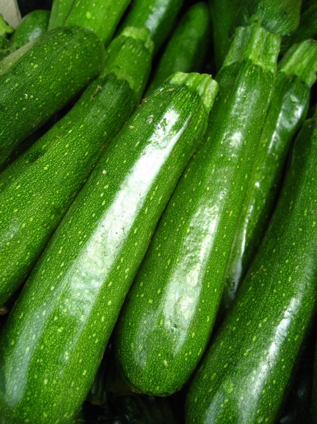 Dark Green Zucchini Summer Squash Plants (4 Pack) - Plant ...
