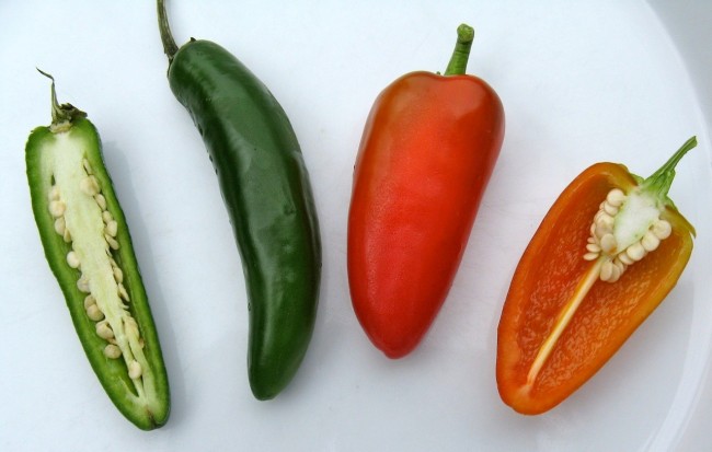 Fresno peppers outlet