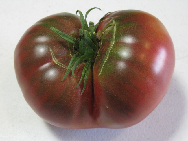 Tomato 'Carbon' Seeds – Tomatoes  Garden Hoard 