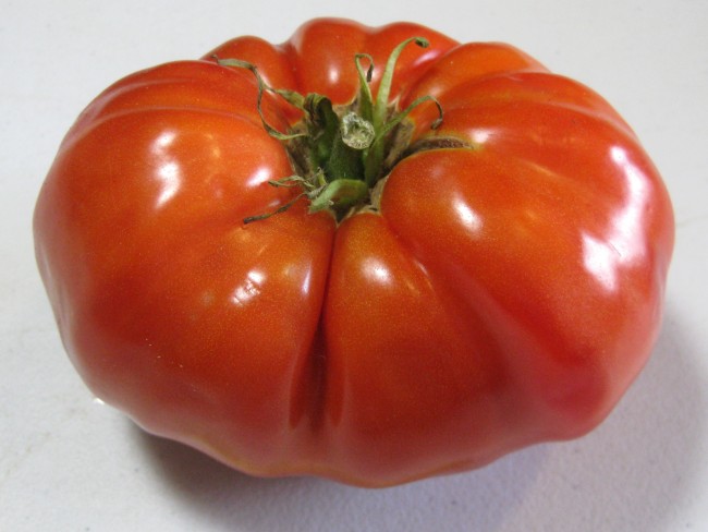 Tomato 'Red Brandywine, Regular Leaf' Seeds  Garden Hoard 