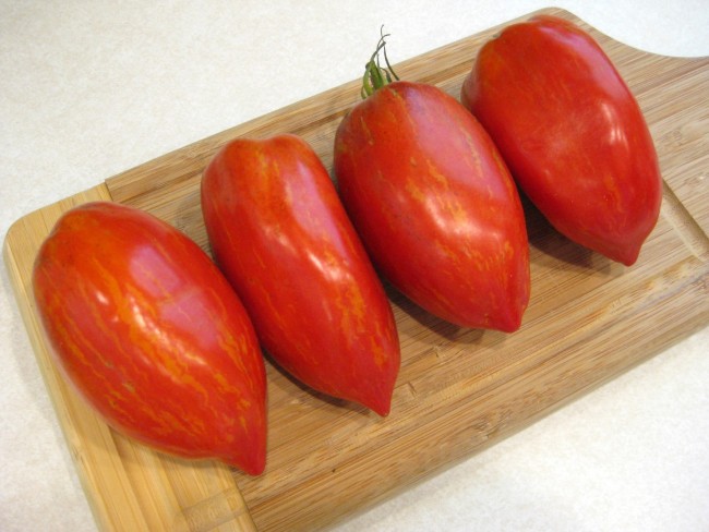 Tomato Speckled Roman Seeds Certified Organic Garden Hoard Certified Organic Heirloom Seeds Grown In Michigan By Renegade Acres Graines de tomate rare striped roman heirloom tomato seeds meth.bio variete : tomato speckled roman seeds certified organic