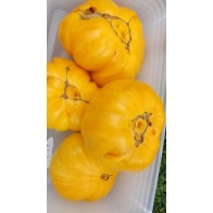 Tomato 'Orange Jazz' Seeds (Certified Organic)